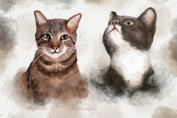 Dogs and Cats Watercolor Illustration Collection Clipart
