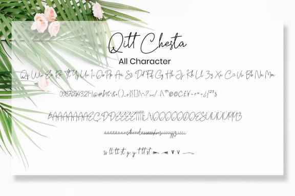Qitt Chesta - Free Script Font
