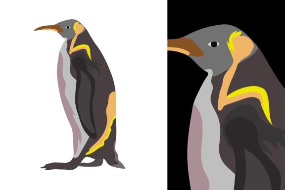 Penguins Vector Bundle