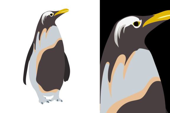 Penguins Vector Bundle