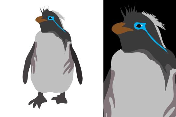 Penguins Vector Bundle