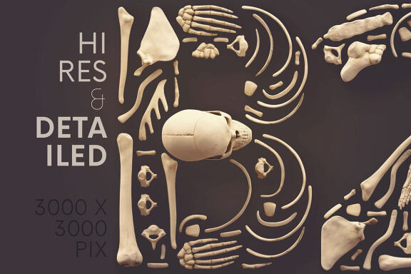 Skulls & Bones - 3D Lettering