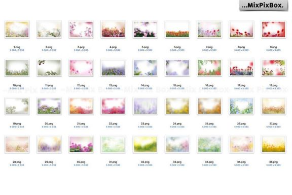Summer Flowers Painted Overlays