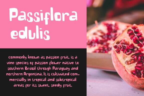 Markisa - Display Typeface