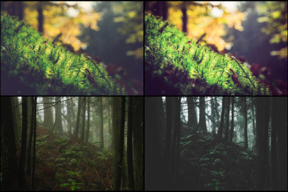 54 Vintage Morning Lightroom Presets
