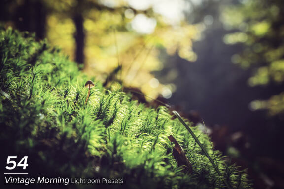54 Vintage Morning Lightroom Presets