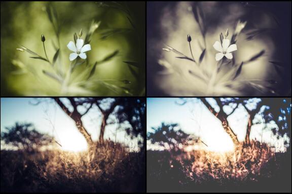 54 Vintage Morning Lightroom Presets