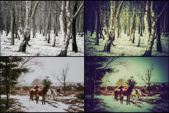 82 Winter Wonderland Lightroom Presets