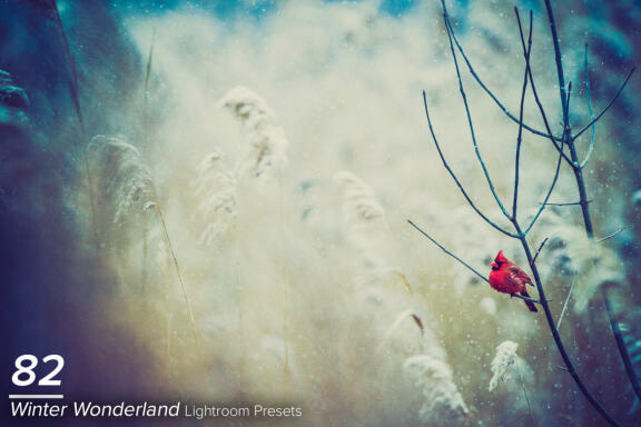 82 Winter Wonderland Lightroom Presets
