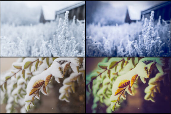 82 Winter Wonderland Lightroom Presets