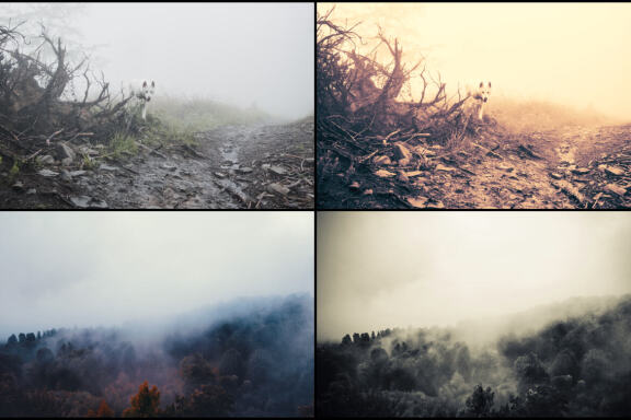 85 Dark and Monochrome Lightroom Presets