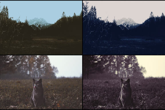 85 Dark and Monochrome Lightroom Presets