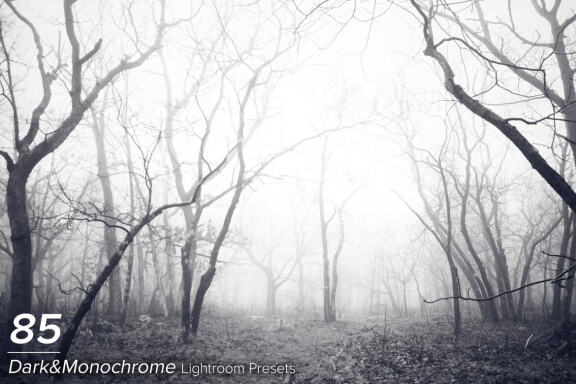 85 Dark and Monochrome Lightroom Presets