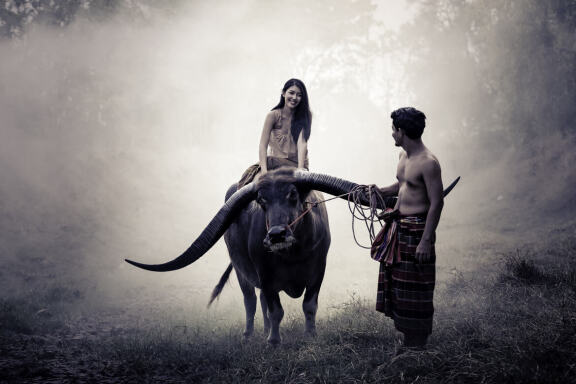 300 Romantic Lightroom Presets