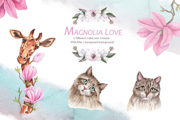 Magnolia Love Watercolor Collection
