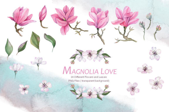 Magnolia Love Watercolor Collection