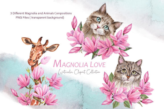 Magnolia Love Watercolor Collection