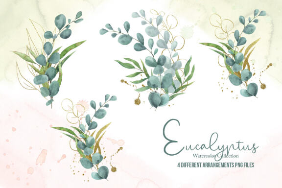Eucalyptus Watercolor Collection