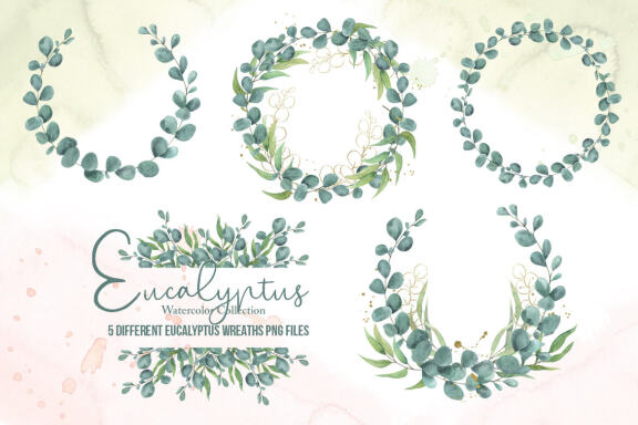 Eucalyptus Watercolor Collection