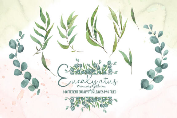 Eucalyptus Watercolor Collection