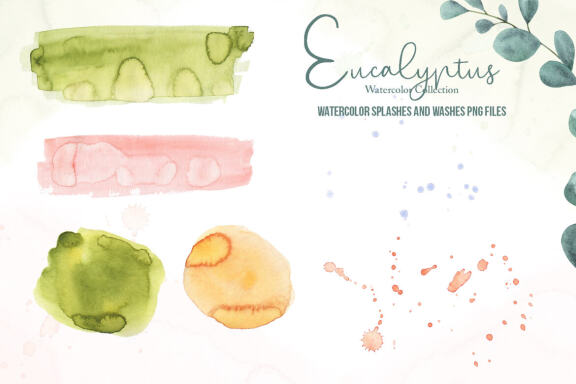 Eucalyptus Watercolor Collection