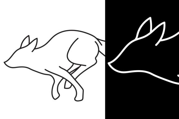 Fox Silhouette Vector Bundle