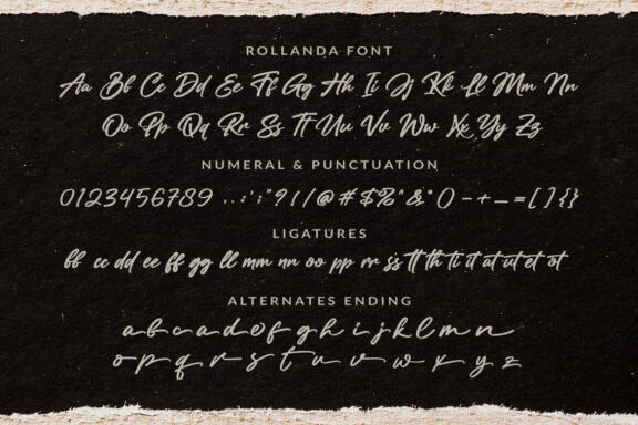 Rollanda - Textured Signature Font
