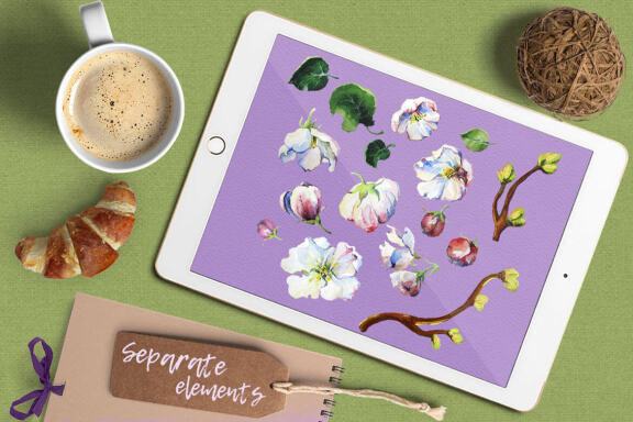 Apple blossom watercolor clip art