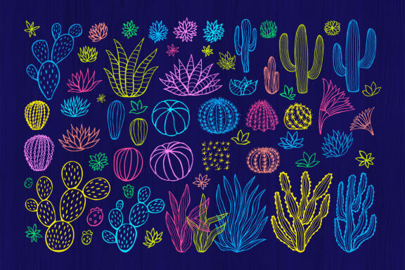 Cactuses and Succulents Collection
