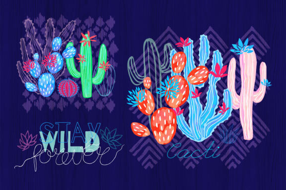Cactuses and Succulents Collection