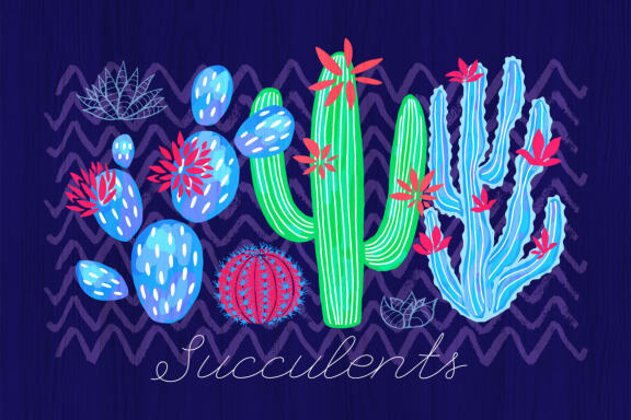 Cactuses and Succulents Collection