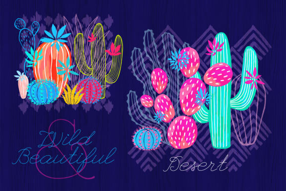 Cactuses and Succulents Collection