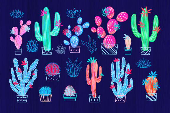 Cactuses and Succulents Collection