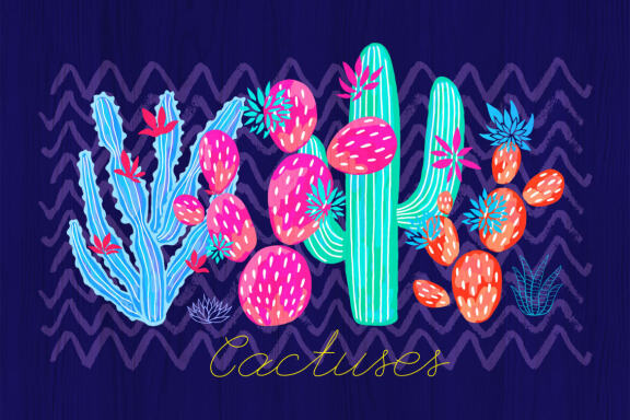 Cactuses and Succulents Collection