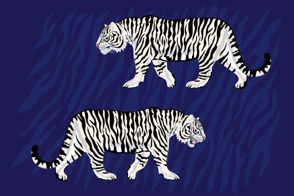 White Tiger in Tropical vector