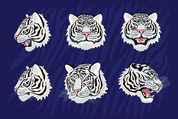 White Tiger in Tropical vector