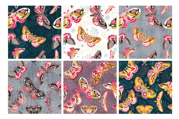 Night Moths, Butterflies Vector Set