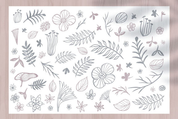 Night Moths, Butterflies Vector Set