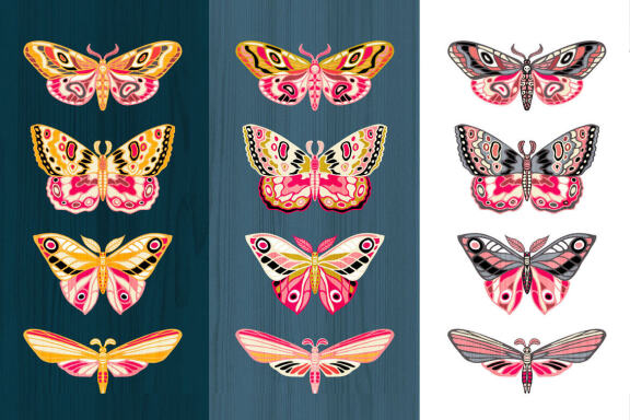 Night Moths, Butterflies Vector Set