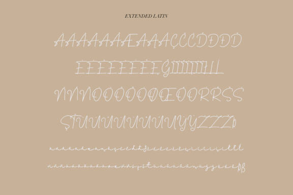 Mirabille Swash Script