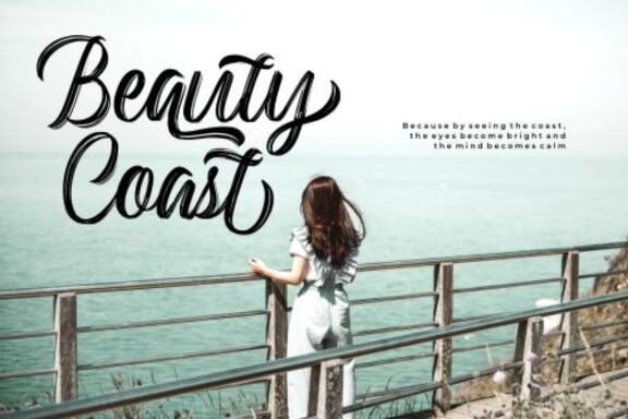 Backrush – Handbrush Script