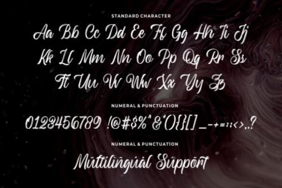 Backrush – Handbrush Script
