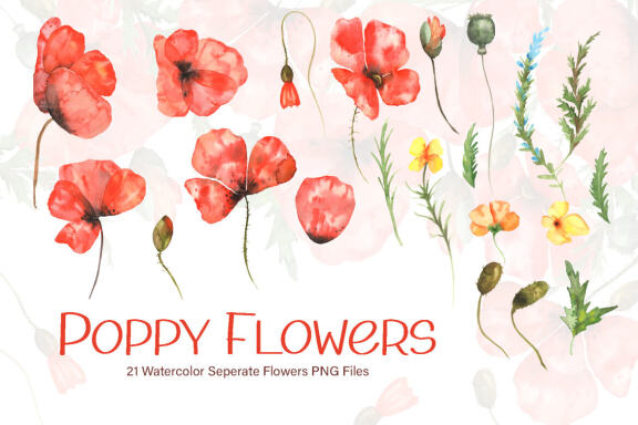 Watercolor Poppy Flowers Collection