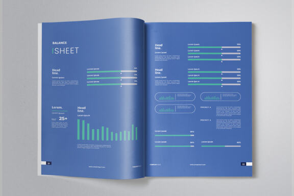 Company Business Annual Report