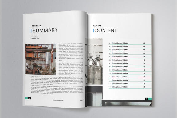 Company Business Annual Report