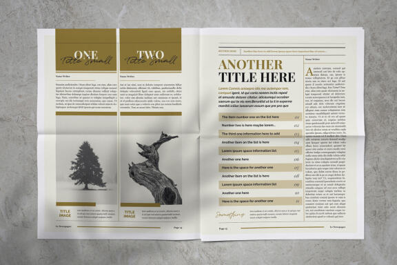 Newspaper Magazine Indesign Template
