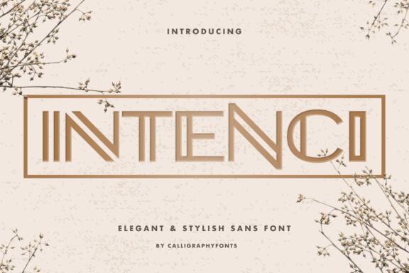 INTENCI