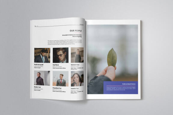 Business Project Proposal Indesign
