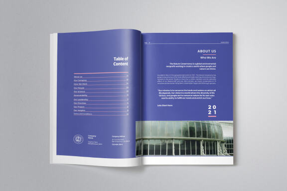 Business Project Proposal Indesign