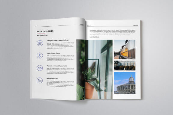 Business Project Proposal Indesign